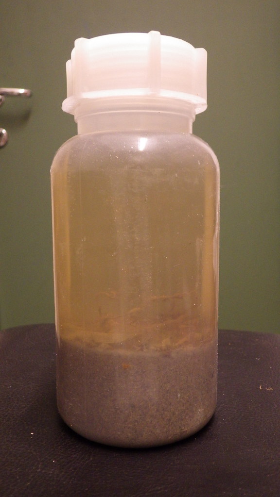 A 1 l container of decanted (= the most animal rich part of the sample) sample - from the same station we will have several bottles with  different fractions of sample (decanted, 1 mm, 5 mm,...). Large or particularly conspicuos animals are picked out separately whilst processing the samples on board. 