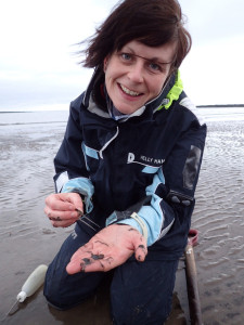 Collecting Magelona samples on my favourite sampling beach, Berwick-upon-Tweed, Northumberland. A beach known to many polychaetologists through the work of naturalist George Johnston.