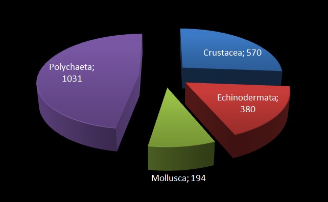 # of submitted specimens (animals) from each phylum